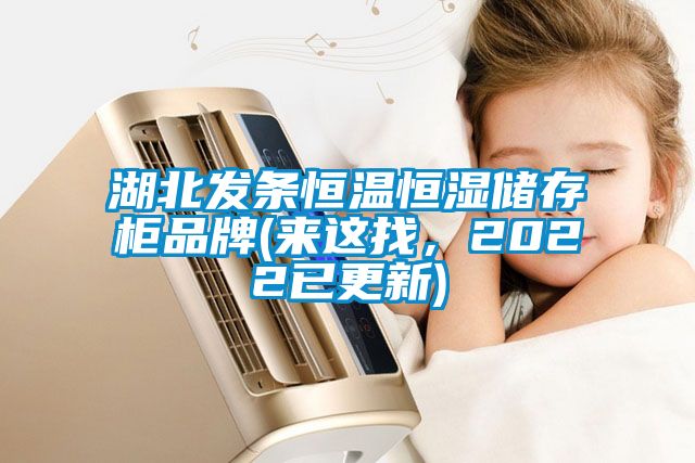 湖北發(fā)條恒溫恒濕儲存柜品牌(來這找，2022已更新)