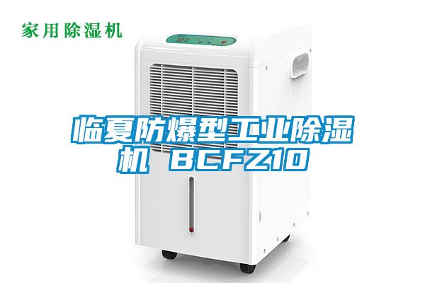 臨夏防爆型工業(yè)除濕機 BCFZ10