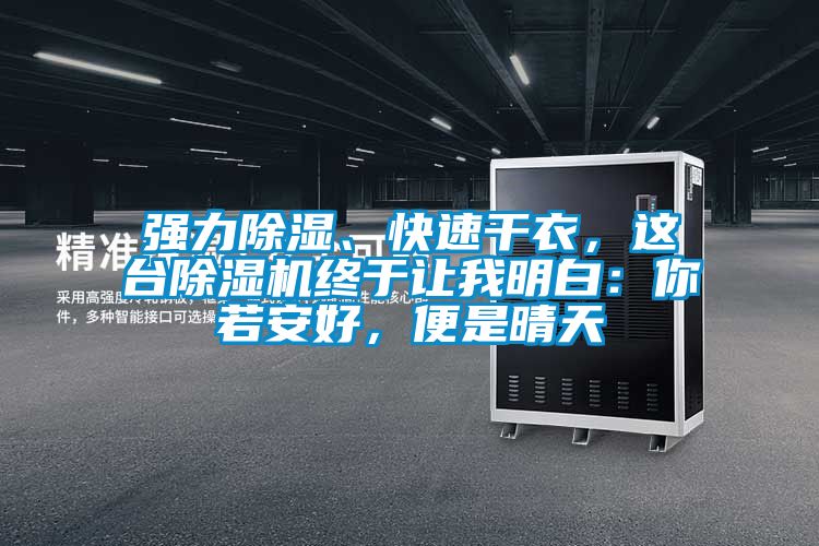 強力除濕、快速干衣，這臺除濕機終于讓我明白：你若安好，便是晴天