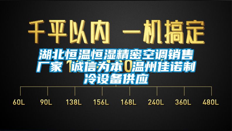 湖北恒溫恒濕精密空調(diào)銷售廠家 誠(chéng)信為本 溫州佳諾制冷設(shè)備供應(yīng)