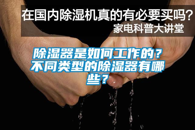 除濕器是如何工作的？不同類型的除濕器有哪些？