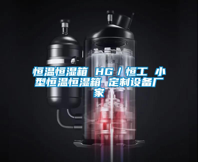 恒溫恒濕箱 HG／恒工 小型恒溫恒濕箱 定制設(shè)備廠家