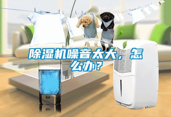 除濕機噪音太大，怎么辦？