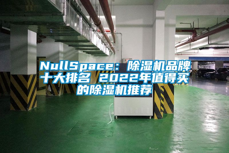 NullSpace：除濕機(jī)品牌十大排名 2022年值得買的除濕機(jī)推薦