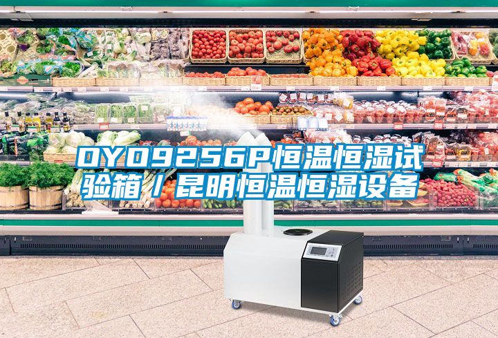 OYO9256P恒溫恒濕試驗箱／昆明恒溫恒濕設(shè)備