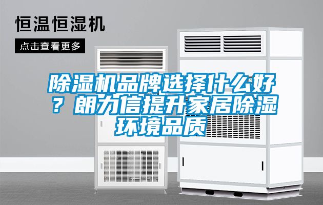 除濕機(jī)品牌選擇什么好？朗力信提升家居除濕環(huán)境品質(zhì)