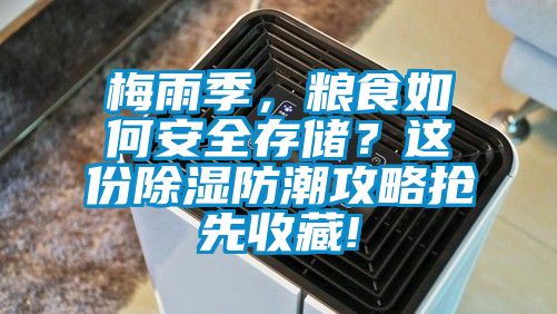 梅雨季，糧食如何安全存儲(chǔ)？這份除濕防潮攻略搶先收藏!