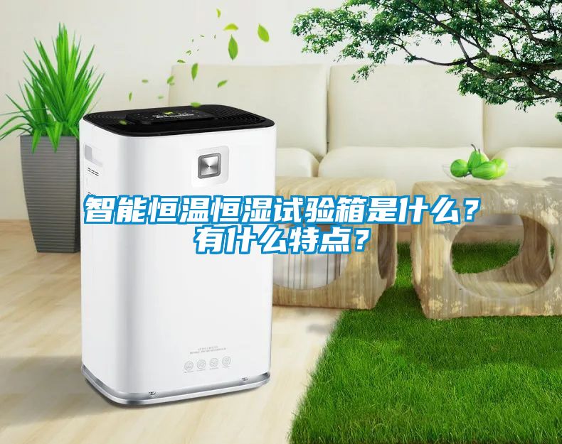 智能恒溫恒濕試驗(yàn)箱是什么？有什么特點(diǎn)？