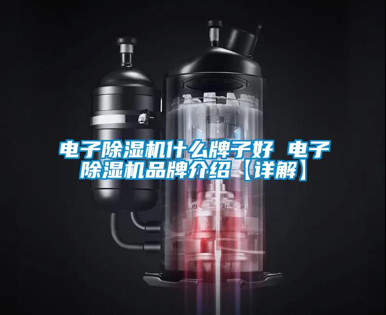 電子除濕機(jī)什么牌子好 電子除濕機(jī)品牌介紹【詳解】