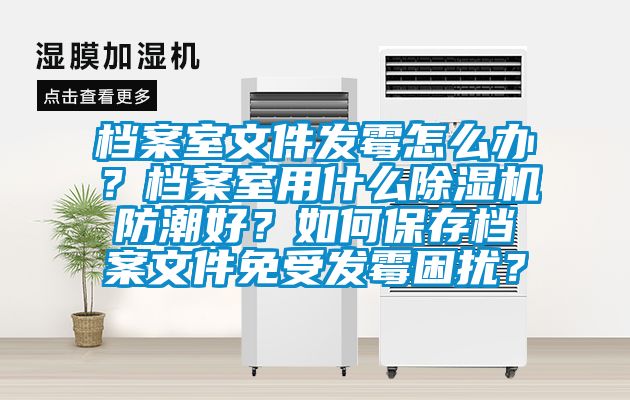 檔案室文件發(fā)霉怎么辦？檔案室用什么除濕機防潮好？如何保存檔案文件免受發(fā)霉困擾？